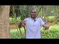 Borabu Junior Band By Charles ONGAGA Simon Rotich