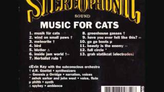 cEvin Key - Wind on Small Paws (Unofficial)