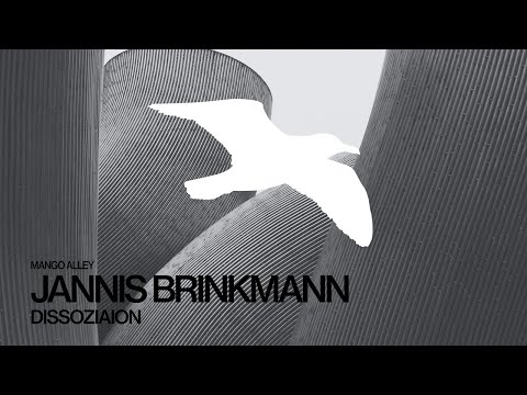 JANNIS BRINKMANN Dissoziation
