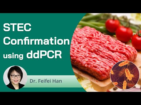 STEC Confirmation Using ddPCR [Webinar]