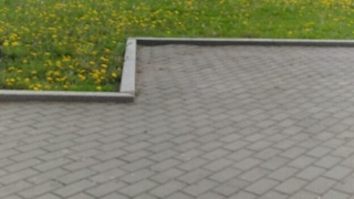 Он Вам Не Димон