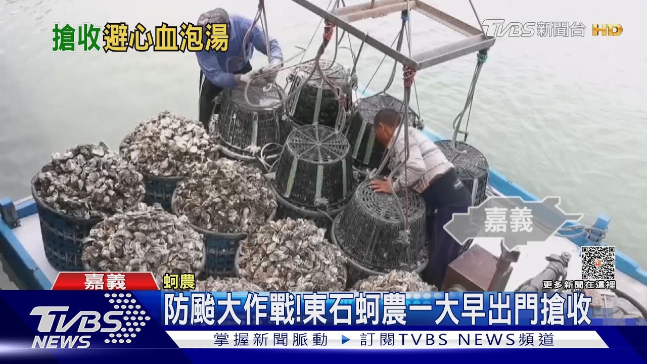 防颱大作戰!農漁民跟時間賽跑 搶收作物