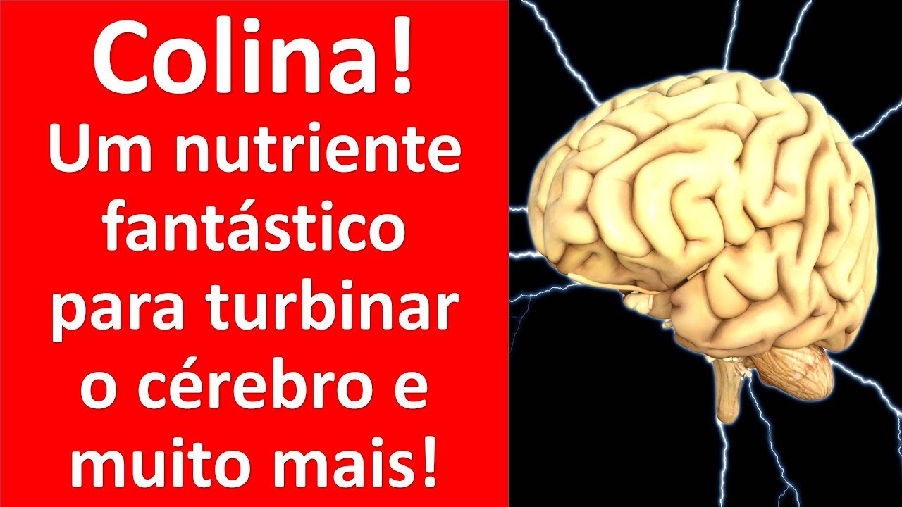 Colina! um nutriente fantástico para turbinar o cérebro e muito mais! | Dr. Marco Menelau
