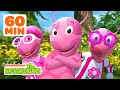 Uniqua Uses Her Imagination BEST Moments W Tasha 1 Hour Compilation The Backyardigans