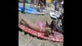 KAITLIN DREW SURFING "WAIKIKI HAWAII" 2006