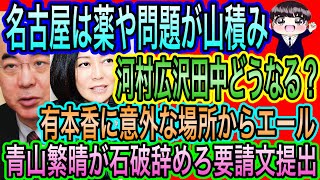 【日本保守党】いい加減にしろ名古屋！河村広沢田中どうなる？／有本香に意外なエール／青山繁晴が石破やめろ要請文提出
