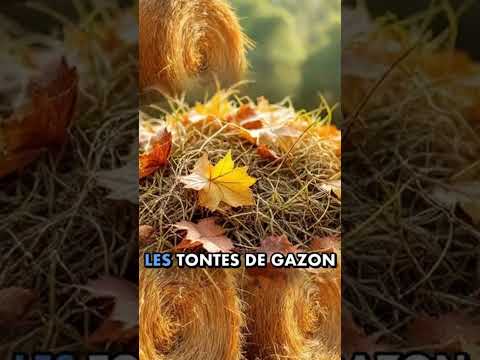 Paillage#Jardinage#Potager#Astuces#ConseilsJardinage #Permaculture#Nature#shorts#Jardin#bio#Astuces