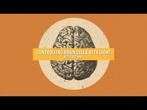 Controlling Brain Cells with Light