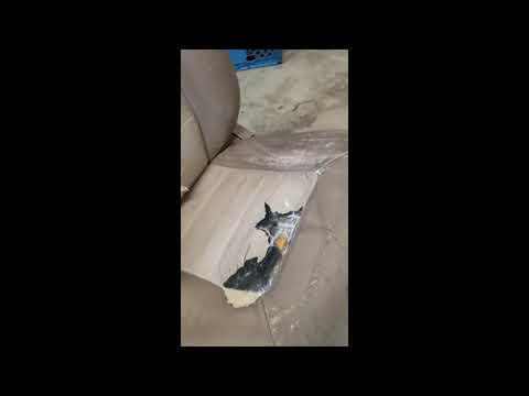 replacing expedition seats