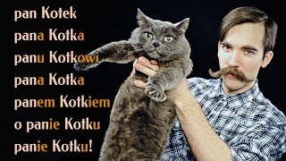 Polish language. Lesson 5. Verbs of the second conjugative form, nouns of the first declension.