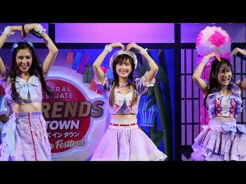 ทาสแมว (Cat slave) focus nadear cmj 31/7/65