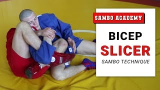 Bicep slicer. Very painful submission
