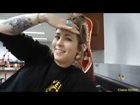 BI207 - Lab 1 -  Model Video