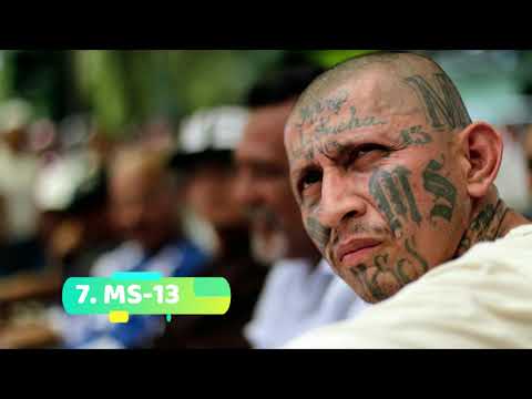 Top 10 cele mai Mari ORGANIZATII MAFIOTE