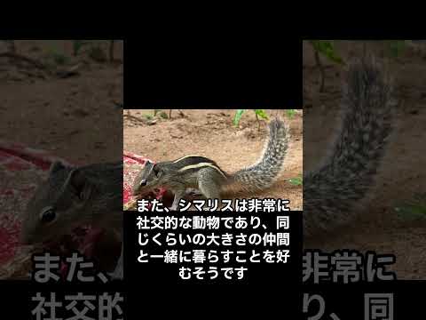 IUCN分類における絶滅の危険性を示す図。