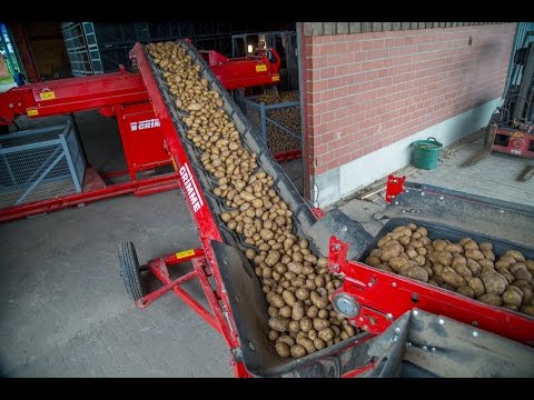 GRIMME LC 705 | Loading Conveyor for potatoes, onions and other crops