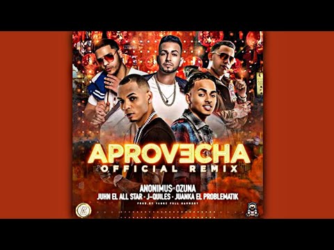 Juhn, Ozuna, J Quiles, Juanka, Anonimus - Aprovecha