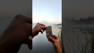 🌾Didn’t hit the chase… but nature always delivers!!🌿✨ #pokemon #foryou #pokemontcg #shorts