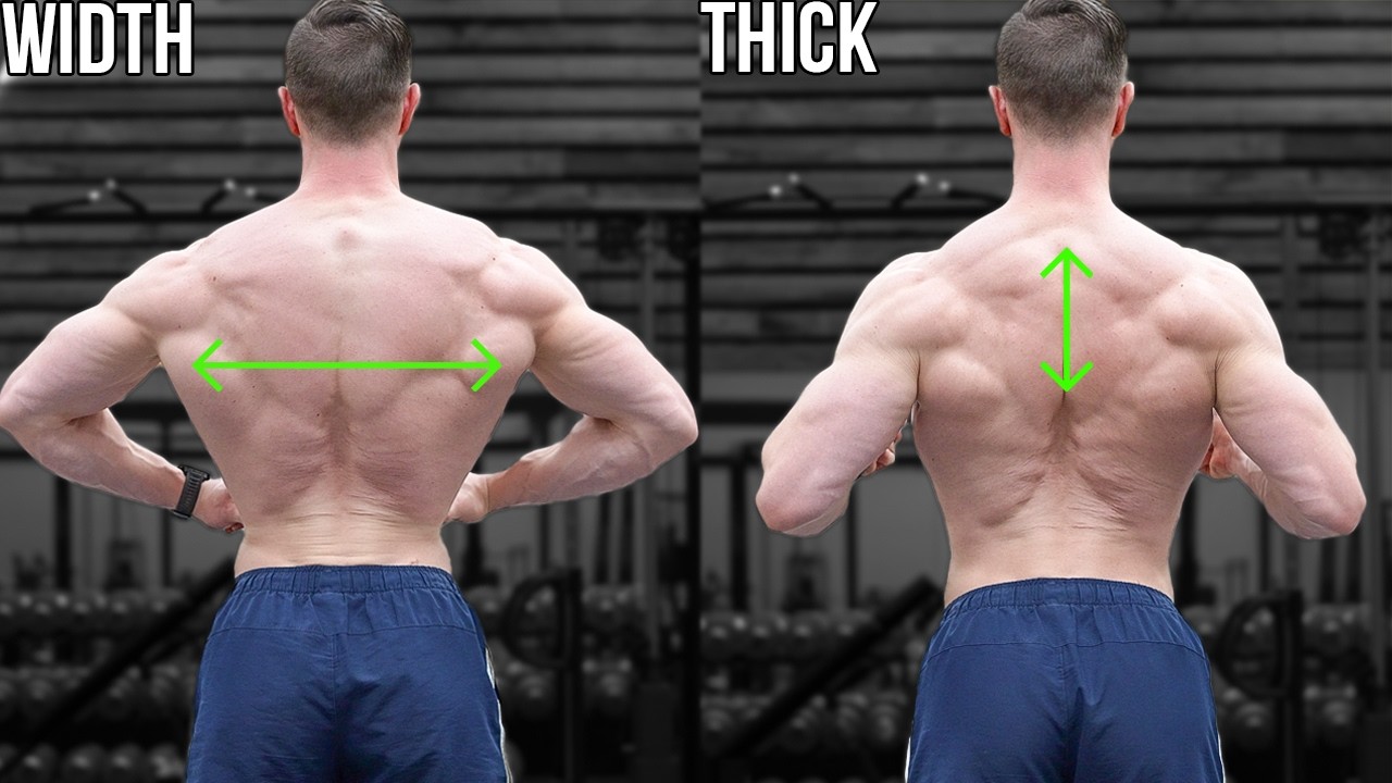 How To Grow A Bigger Back (The Complete Guide)
