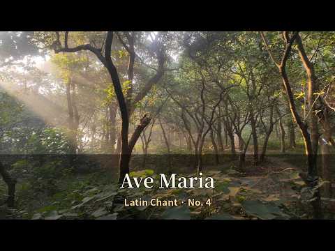 Ave Maria (Latin Chant No. 4) | Catholic Prayer Music for Pr…