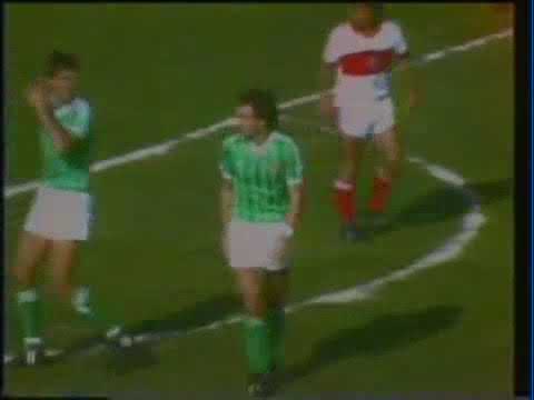 Turkey 1 - 0 Northern Ireland (12 October 1983)