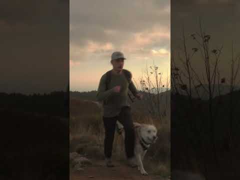 ONNO T-Shirt Company