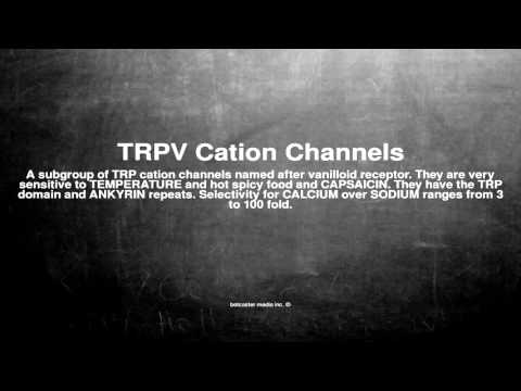 Medical vocabulary: What does TRPV Cation Channels mean