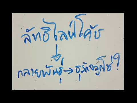 คลิกเพื่อดูคลิปวิดีโอ