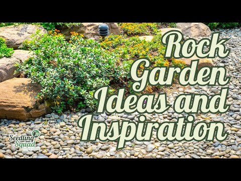 Rock Garden Ideas and Inspiration