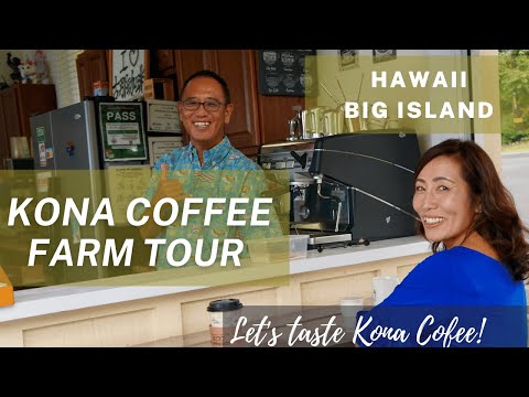Fazenda de café UCC Kona em Holualoa, Big Island, Havaí