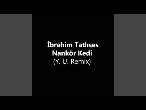 Nankör Kedi (Y. U. Remix)