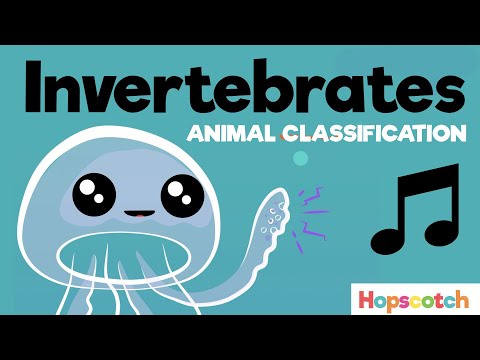 Animal Classification: The Invertebrates Song