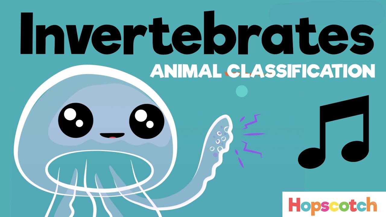 Animal Classification: The Invertebrates Song