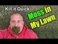 Get rid of Moss in Lawn - How To