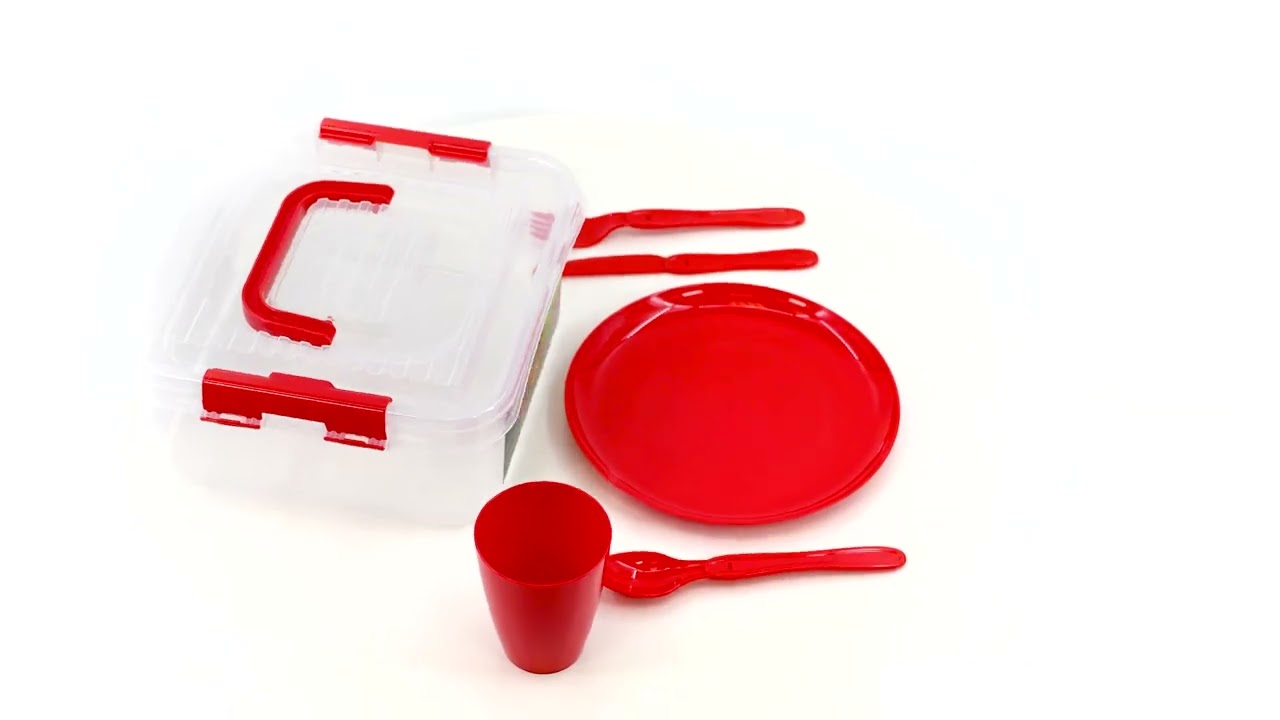 Large Picnic Set With Storage Box For Four - 21 Pieces