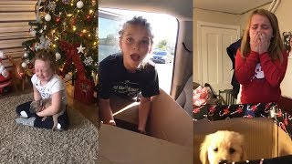 Best New Puppy Surprise For Kids | Try Not To Cry