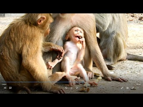 Adorable baby brendy sit down to watch the sunrise.