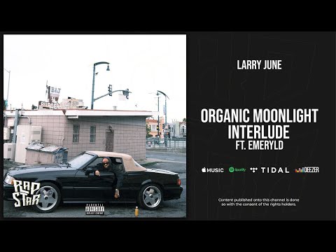 Video thumbnail for Organic Moonlight Interlude