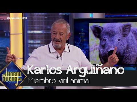 Karlos Arguiñano se impresionó por el miembro viril de uno de sus animales - El Hormiguero 3.0