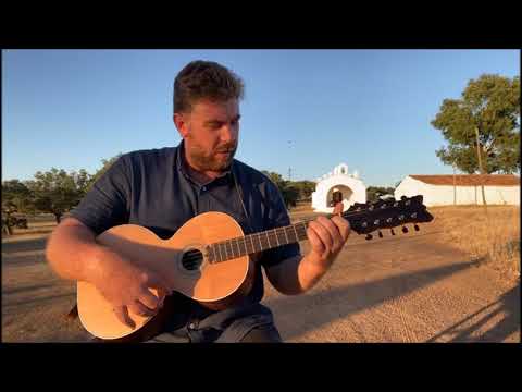 10.º Violas do Atlântico | Pedro Mestre - Viola Campaniça