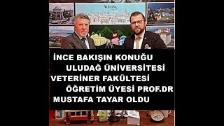 ULUDAĞ ÜNİVERSİTESİ VET FAK ÖGR ÜYE  PROF DR MUSTAFA TAYAR  TARIMDAKİ 
