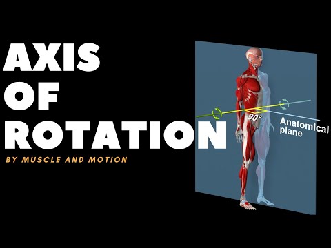 Understanding Axes of Movement/Rotation