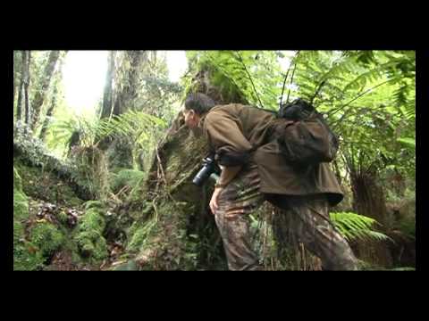 Trophy Roaring horn in action