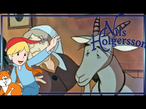 Nils Holgersson: Die Finnen-Malin - Folge 42 auf Deutsch in ganzer Länge