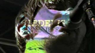 THIS SIDE OF THE MORNING. ~ DEL AMITRI~mp4