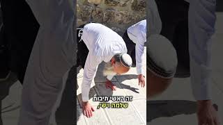 מה יקרה כשהשר בן גביר ייתן אישור להתחיל לעבוד בהר הבית? (ישיבת הר הבית) - התמונה מוצגת ישירות מתוך אתר האינטרנט יוטיוב. זכויות היוצרים בתמונה שייכות ליוצרה. קישור קרדיט למקור התוכן נמצא בתוך דף הסרטון מה יקרה כשהשר בן גביר ייתן אישור להתחיל לעבוד בהר הבית? (ישיבת הר הבית) - התמונה מוצגת ישירות מתוך אתר האינטרנט יוטיוב. זכויות היוצרים בתמונה שייכות ליוצרה. קישור קרדיט למקור התוכן נמצא בתוך דף הסרטון