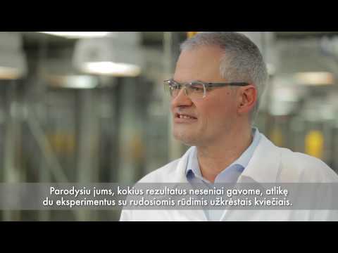 Revysol®: produkto formos savybių optimizavimas šiltnamyje