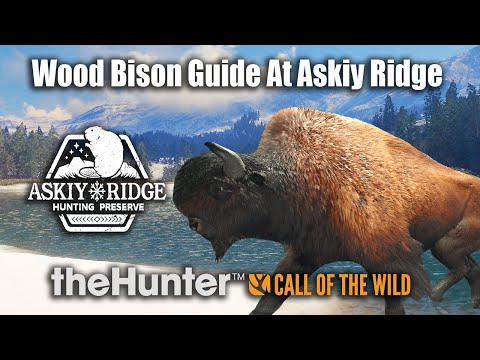 Steam Community :: theHunter: Call of the Wild™