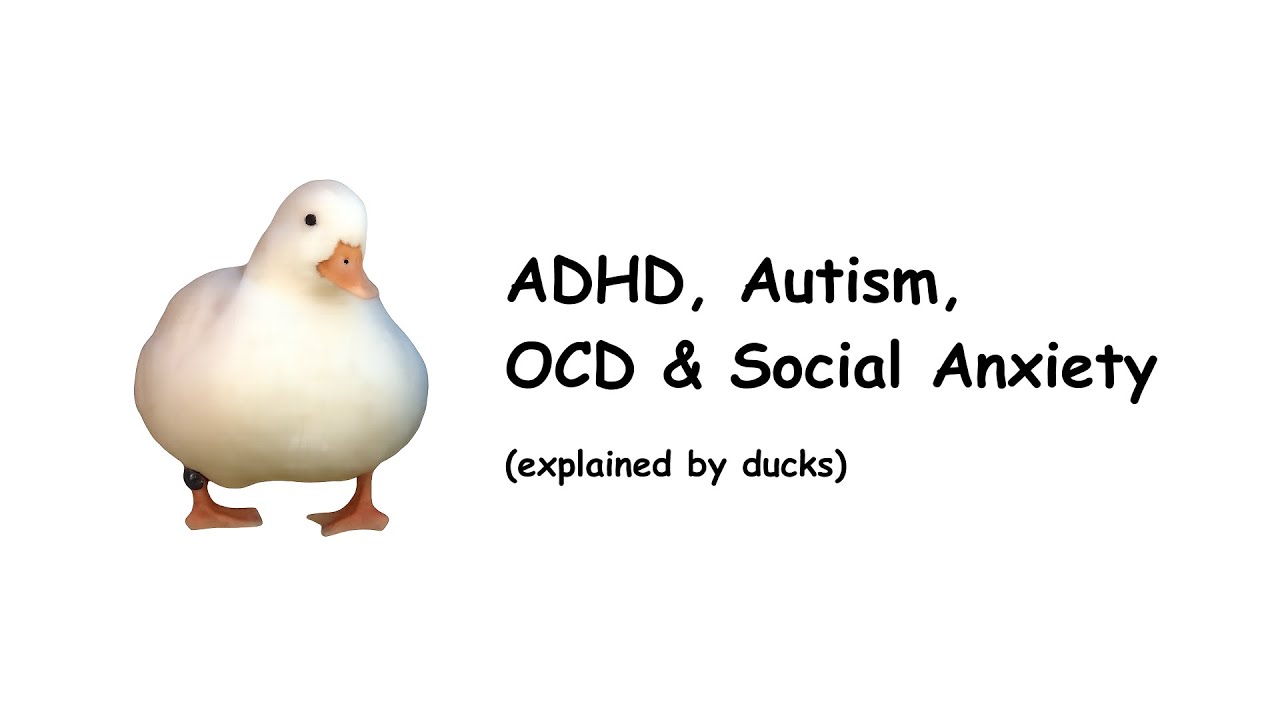 ADHD, Autism, OCD & Social Anxiety explained by ducks