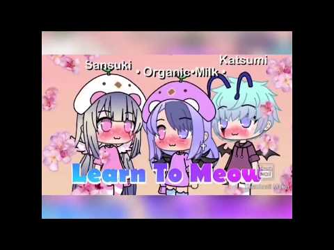 Learn To Meow By Wengie, Xiaopanpan, and Xiaofengfeng